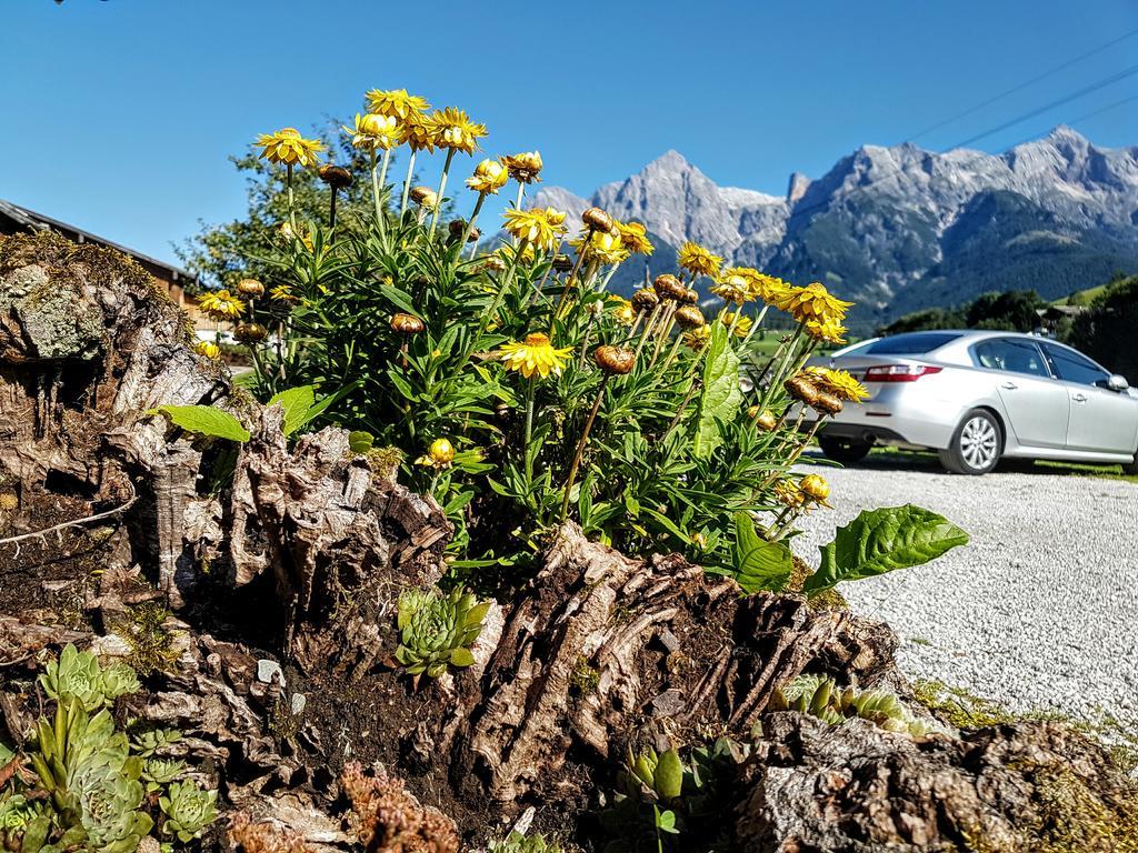 Biobauernhof Stegerbauer Daire Maria Alm am Steinernen Meer Dış mekan fotoğraf