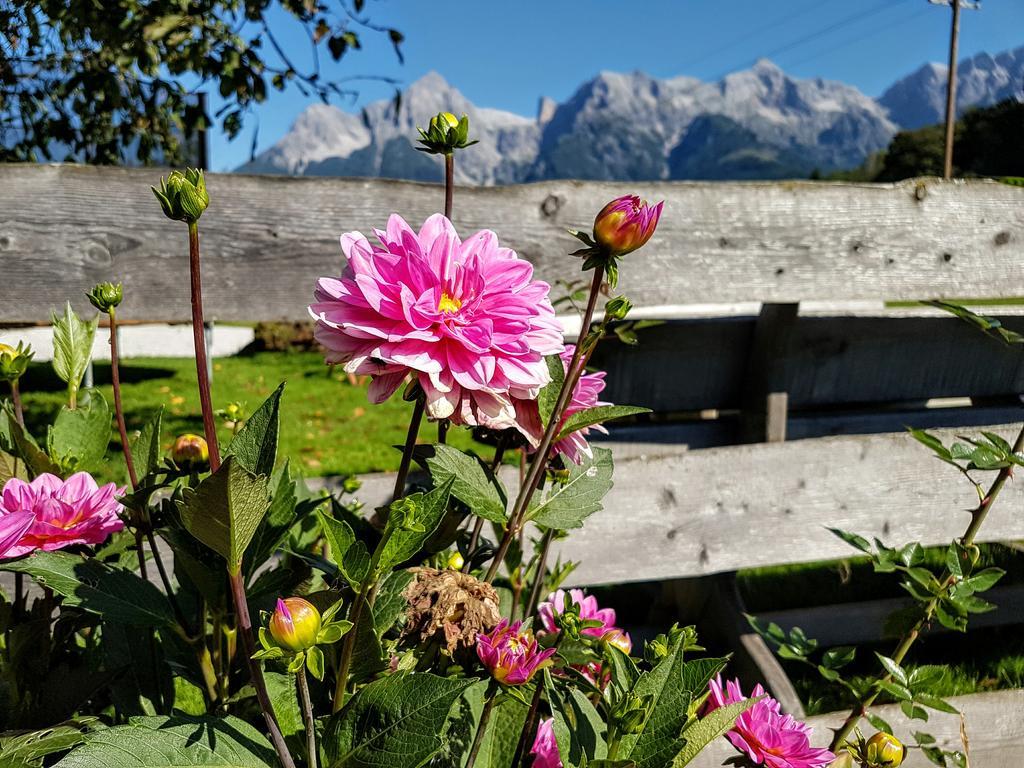 Biobauernhof Stegerbauer Daire Maria Alm am Steinernen Meer Dış mekan fotoğraf
