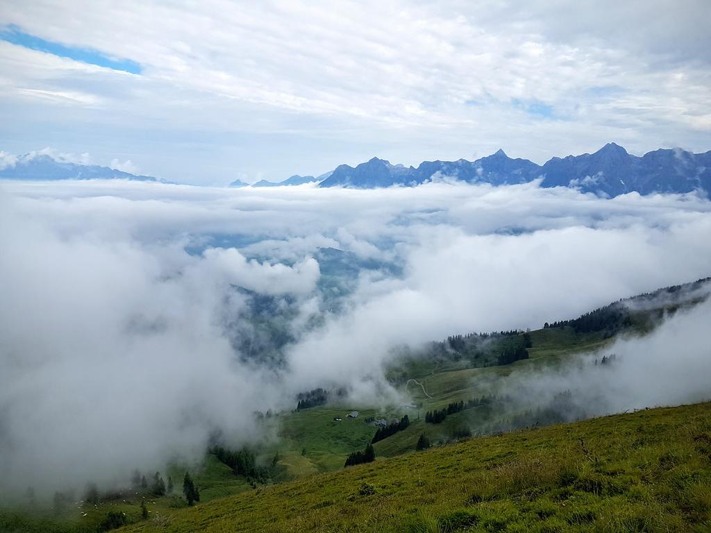 Biobauernhof Stegerbauer Daire Maria Alm am Steinernen Meer Dış mekan fotoğraf