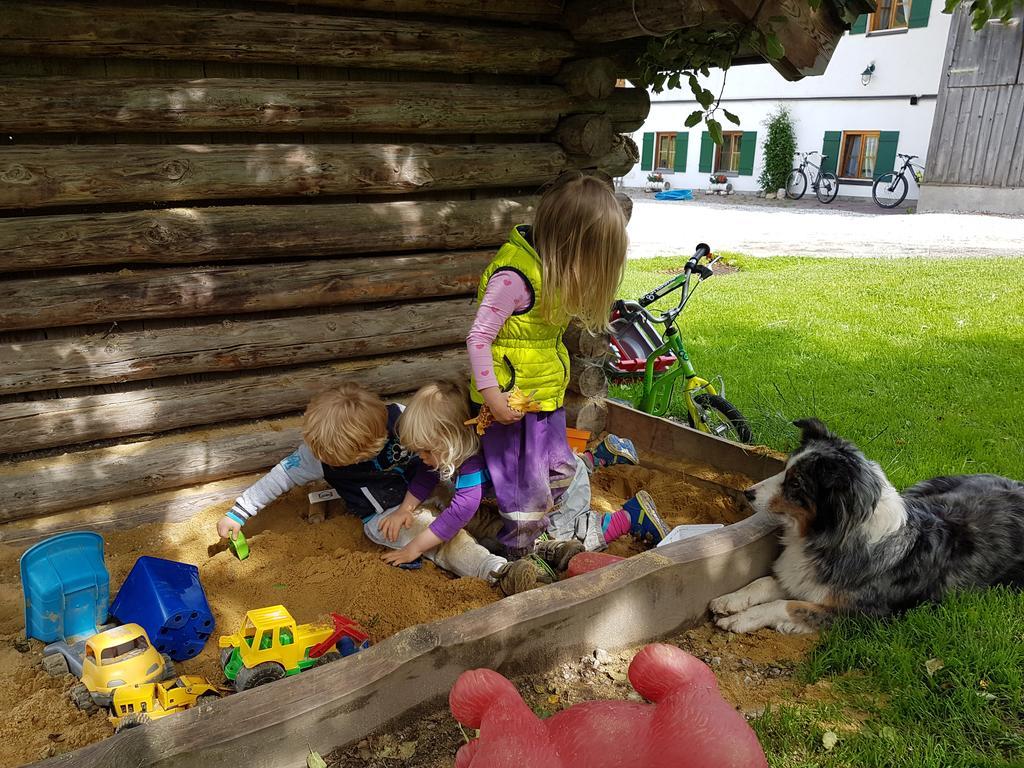 Biobauernhof Stegerbauer Daire Maria Alm am Steinernen Meer Dış mekan fotoğraf