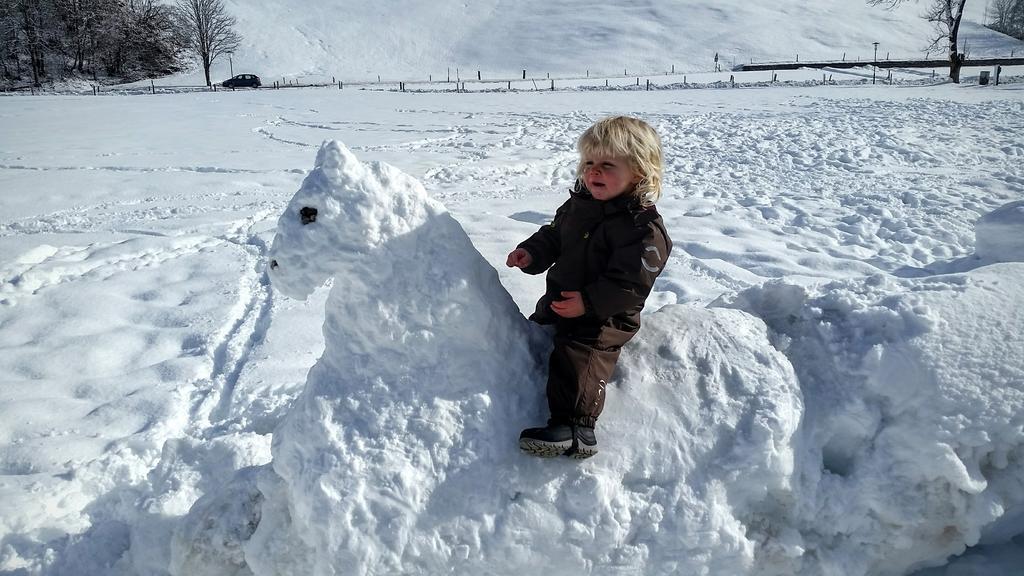 Biobauernhof Stegerbauer Daire Maria Alm am Steinernen Meer Dış mekan fotoğraf