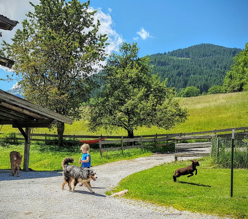 Biobauernhof Stegerbauer Daire Maria Alm am Steinernen Meer Dış mekan fotoğraf