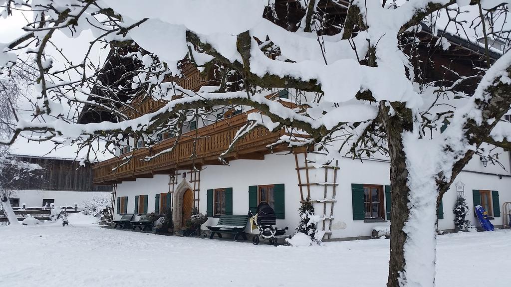 Biobauernhof Stegerbauer Daire Maria Alm am Steinernen Meer Dış mekan fotoğraf