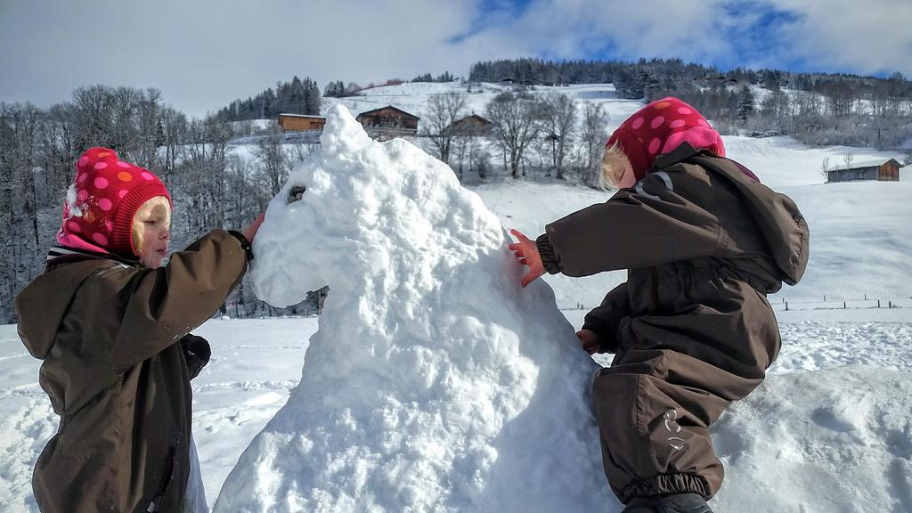Biobauernhof Stegerbauer Daire Maria Alm am Steinernen Meer Dış mekan fotoğraf