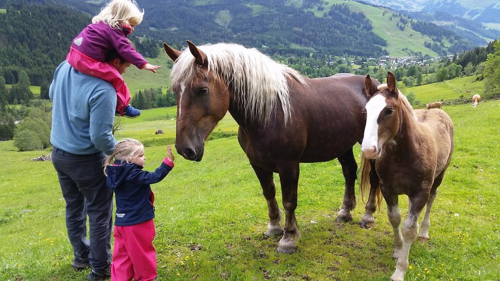 Biobauernhof Stegerbauer Daire Maria Alm am Steinernen Meer Dış mekan fotoğraf